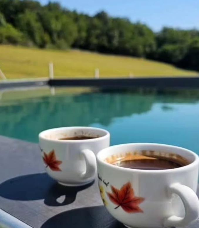 Vila Mala house rental pool area - Holiday house rental pool Serbia